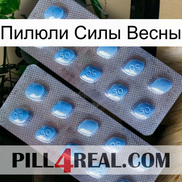 Пилюли Силы Весны viagra4.jpg